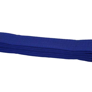 Close-up shot of a single royal blue martial arts rank belt, folded and laying horizontally against a white background. The belt has visible stitching texture.